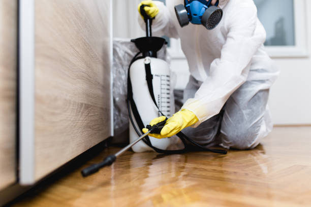 Best Ant Control Services  in Richmond, MI