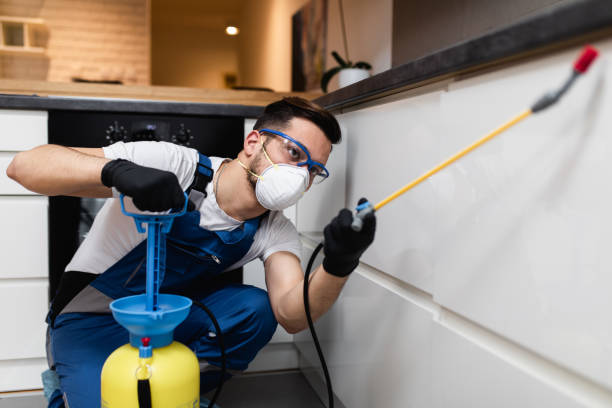 Best Pest Inspection Near Me  in Richmond, MI