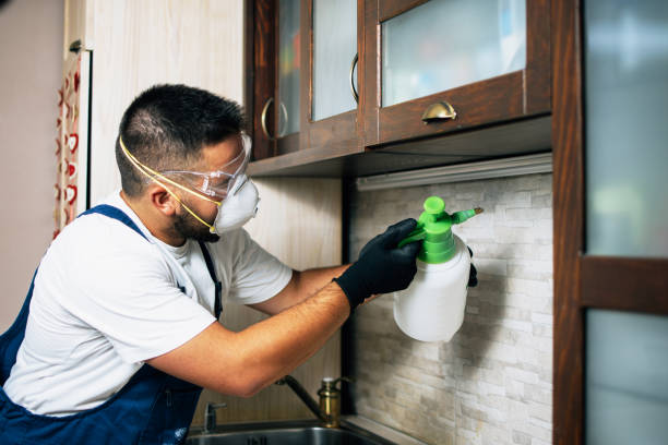 Best Cockroach Control Services  in Richmond, MI