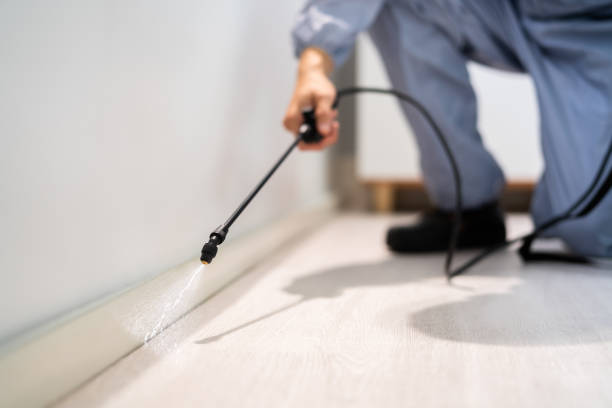 Best Best Pest Control Companies  in Richmond, MI