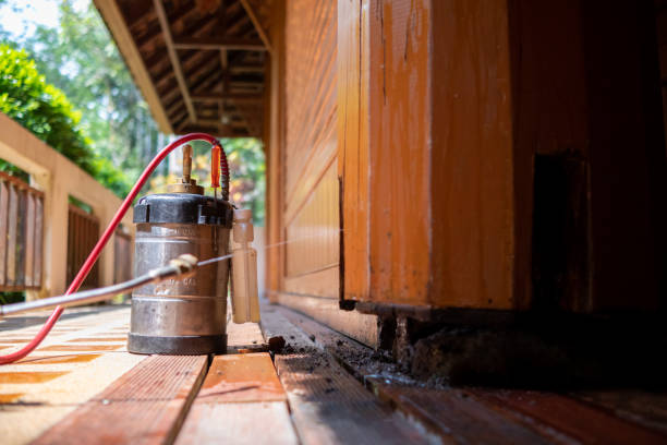 Best Termite Control Services  in Richmond, MI
