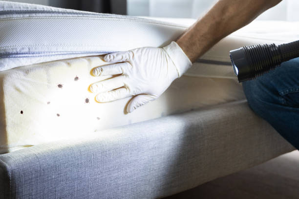 Best Pest Removal Services  in Richmond, MI