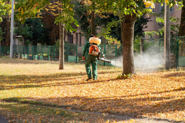 Best Insect Control  in Richmond, MI