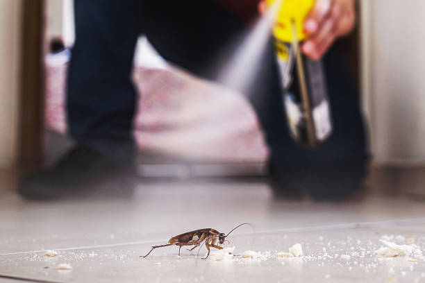 Best Exterminator Services  in Richmond, MI