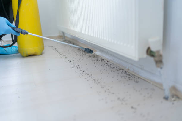Best Pest Prevention Services  in Richmond, MI