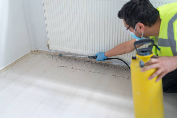 Best Pest Inspection Near Me  in Richmond, MI