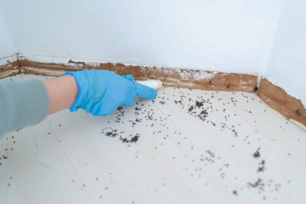 Best Best Pest Control Companies  in Richmond, MI